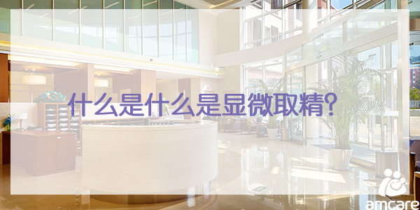 什么是显微取精(jīng)