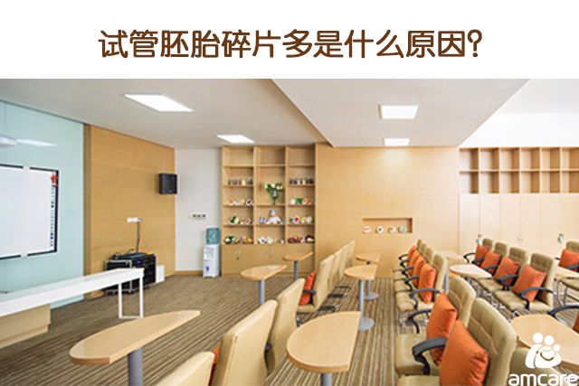 试管胚胎碎片多(duō)是什么原因？