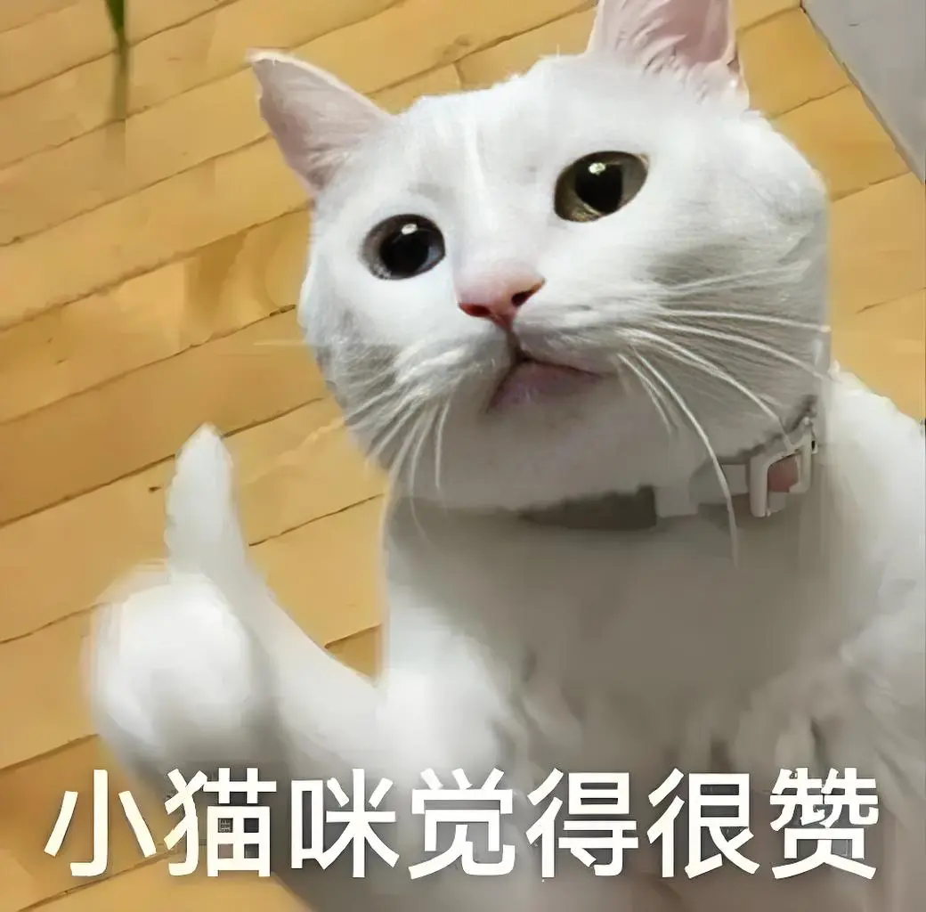 移植前后做到这些，助力胚胎成功着床！