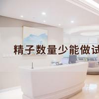 精(jīng)子数量少能(néng)做试管婴儿吗