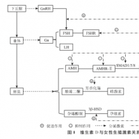 维生素D缺乏，会导致试管婴儿失败吗？