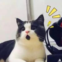 吃坚果能(néng)提高精(jīng)子质(zhì)量？坚果要卖断货了！